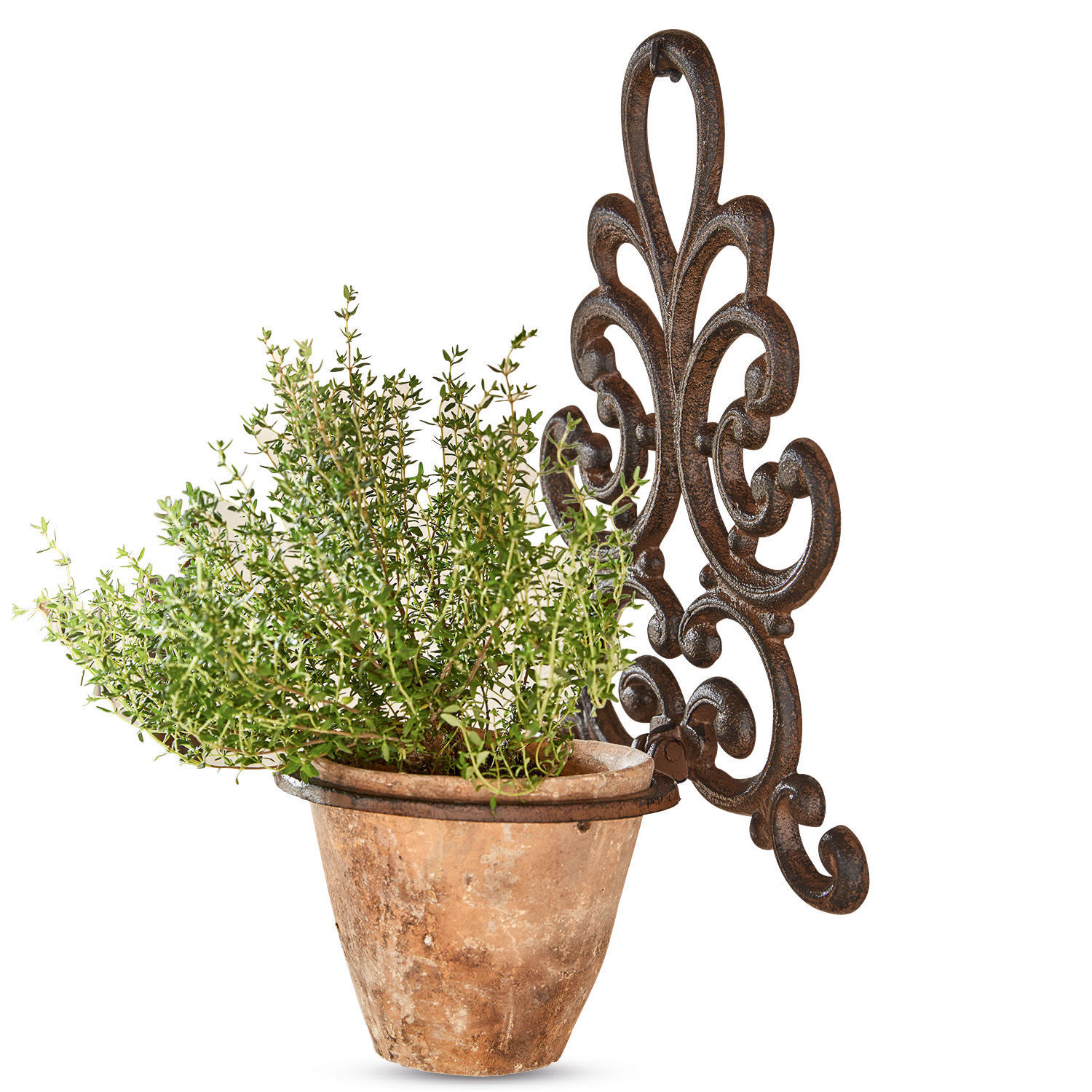 Soporte de pared para maceta Cecile Maceta de terracota con planta verde en soporte de pared decorativo de metal marrón