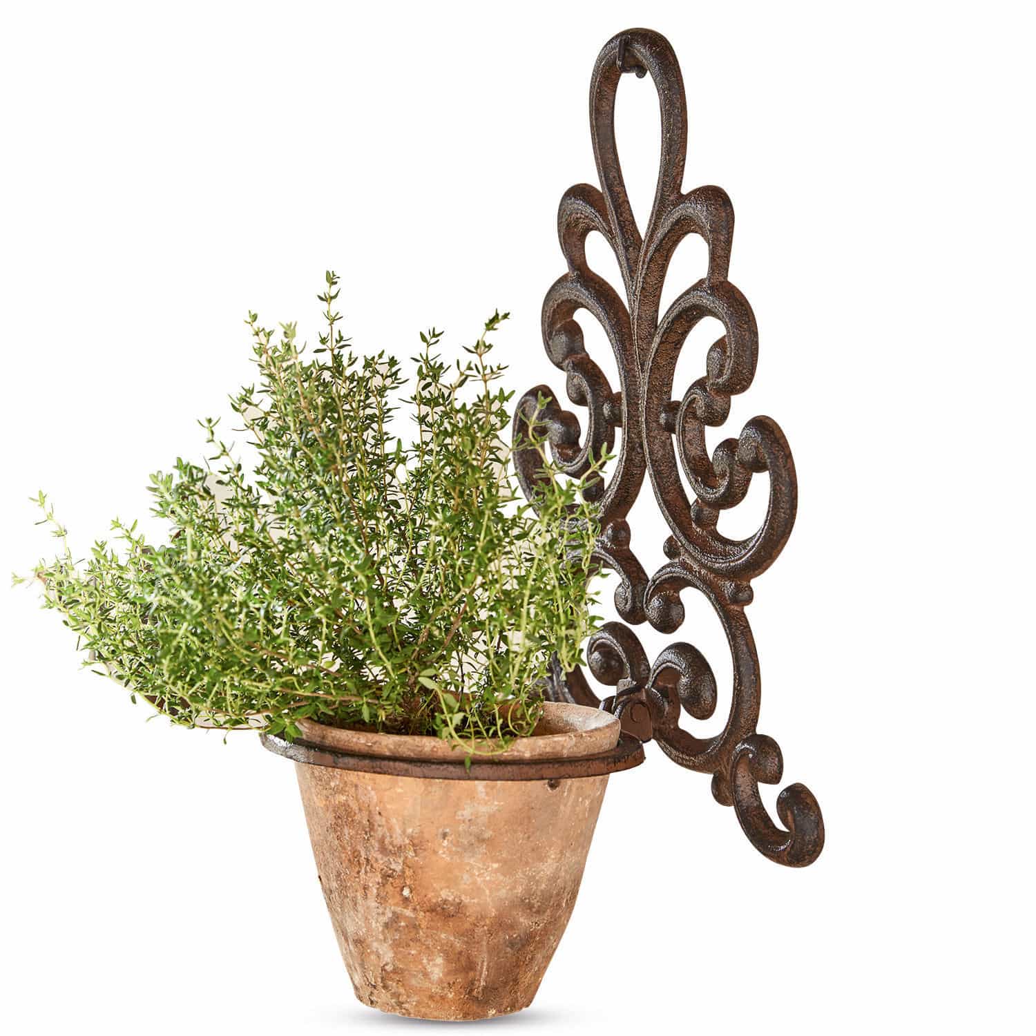 Soporte de pared para maceta Cecile Maceta de terracota con planta verde en soporte de pared decorativo de metal marrón