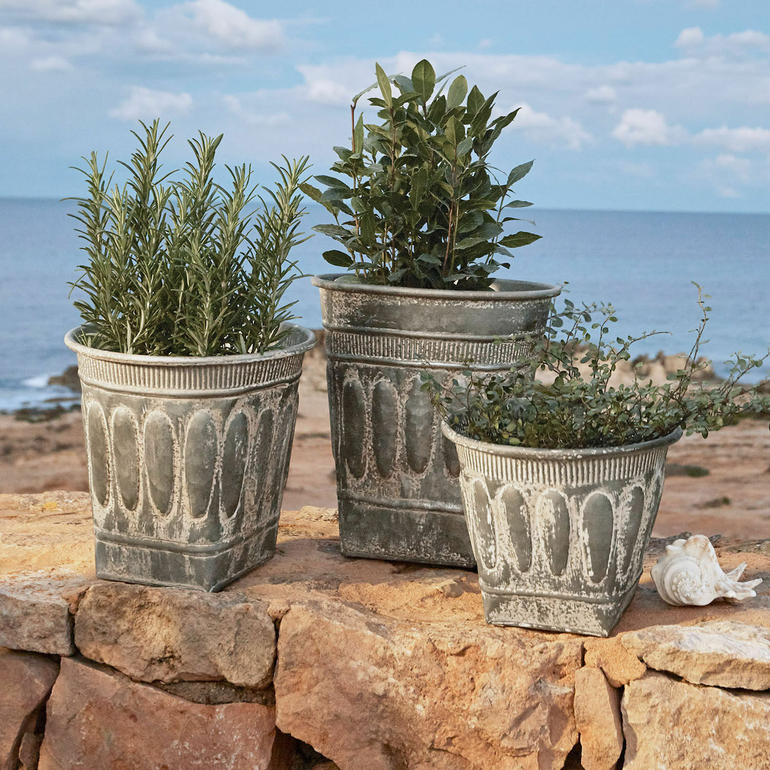 Conjunto de tres macetas decorativas de metal gris con plantas sobre rocas frente al mar