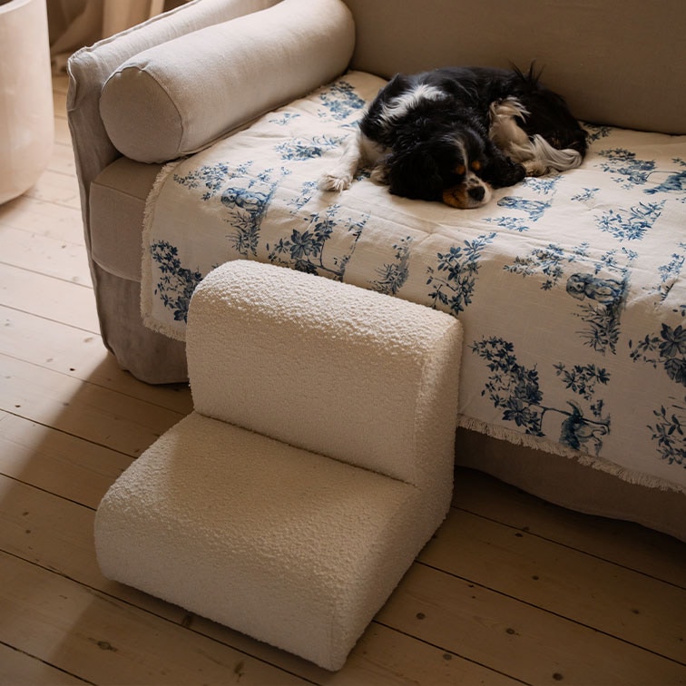 Pequeño sillón de peluche blanco para perro sobre suelo de madera junto a sofá con perro durmiendo en manta azul y blanca