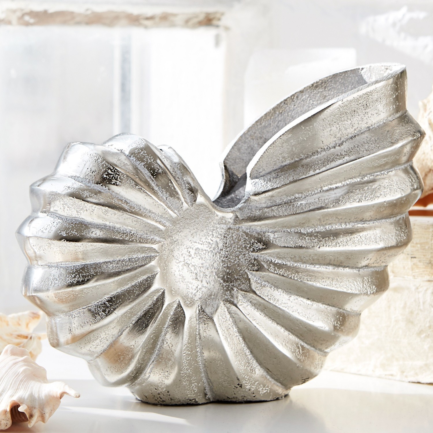 Amonita decorativa Whirl