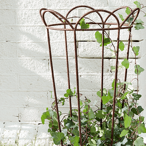 Enrejados para plantas trepadoras