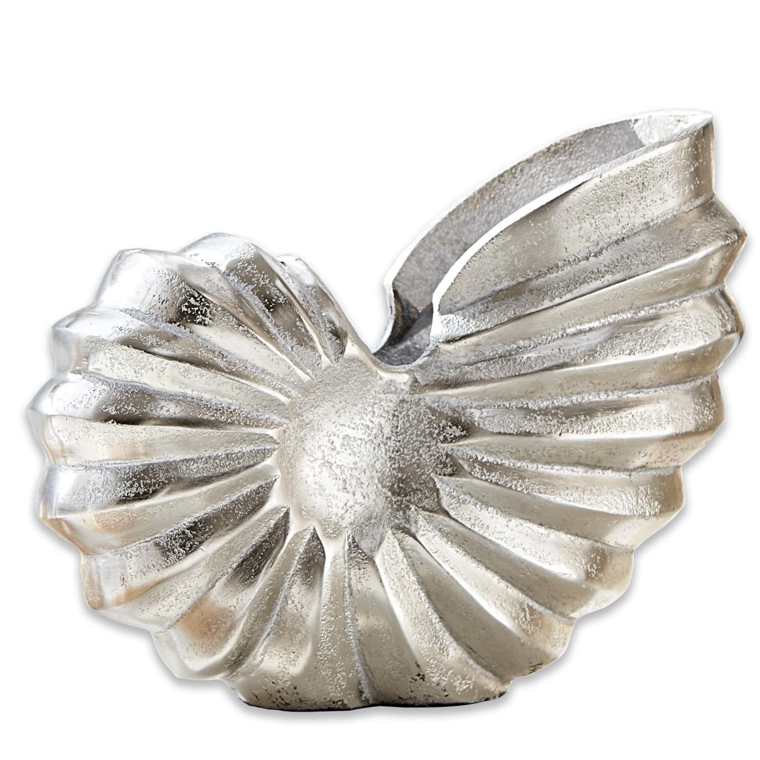 Amonita decorativa Whirl