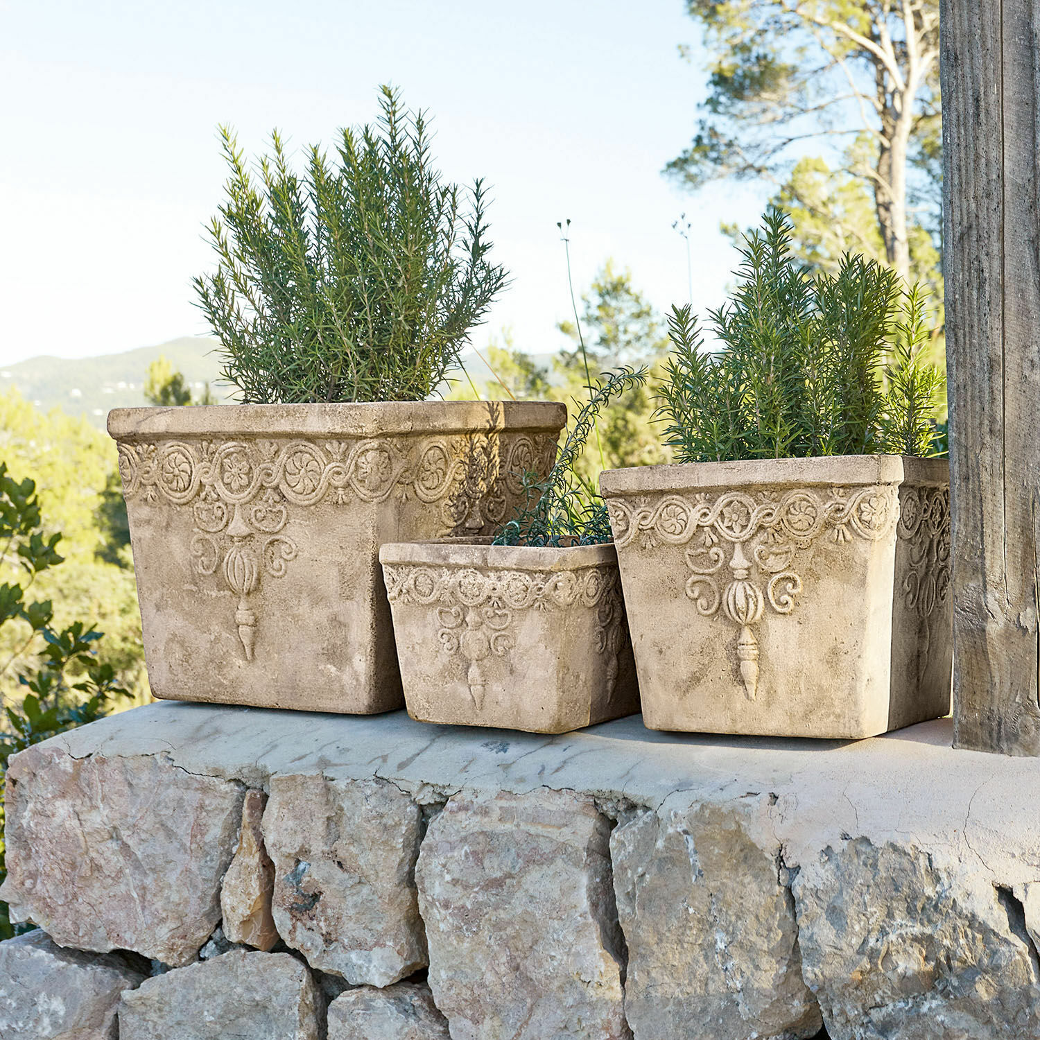 Set de 3 macetas Bissone Conjunto de tres macetas decorativas de piedra beige con plantas para exteriores