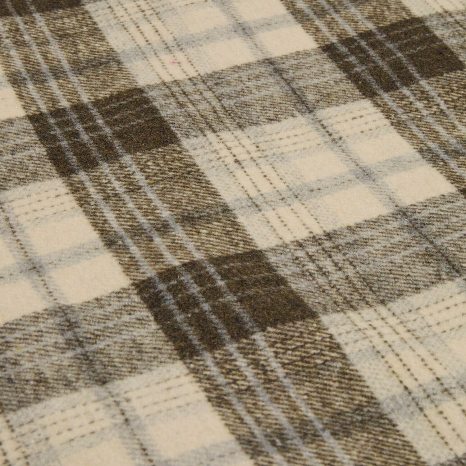 Plaid Harvie