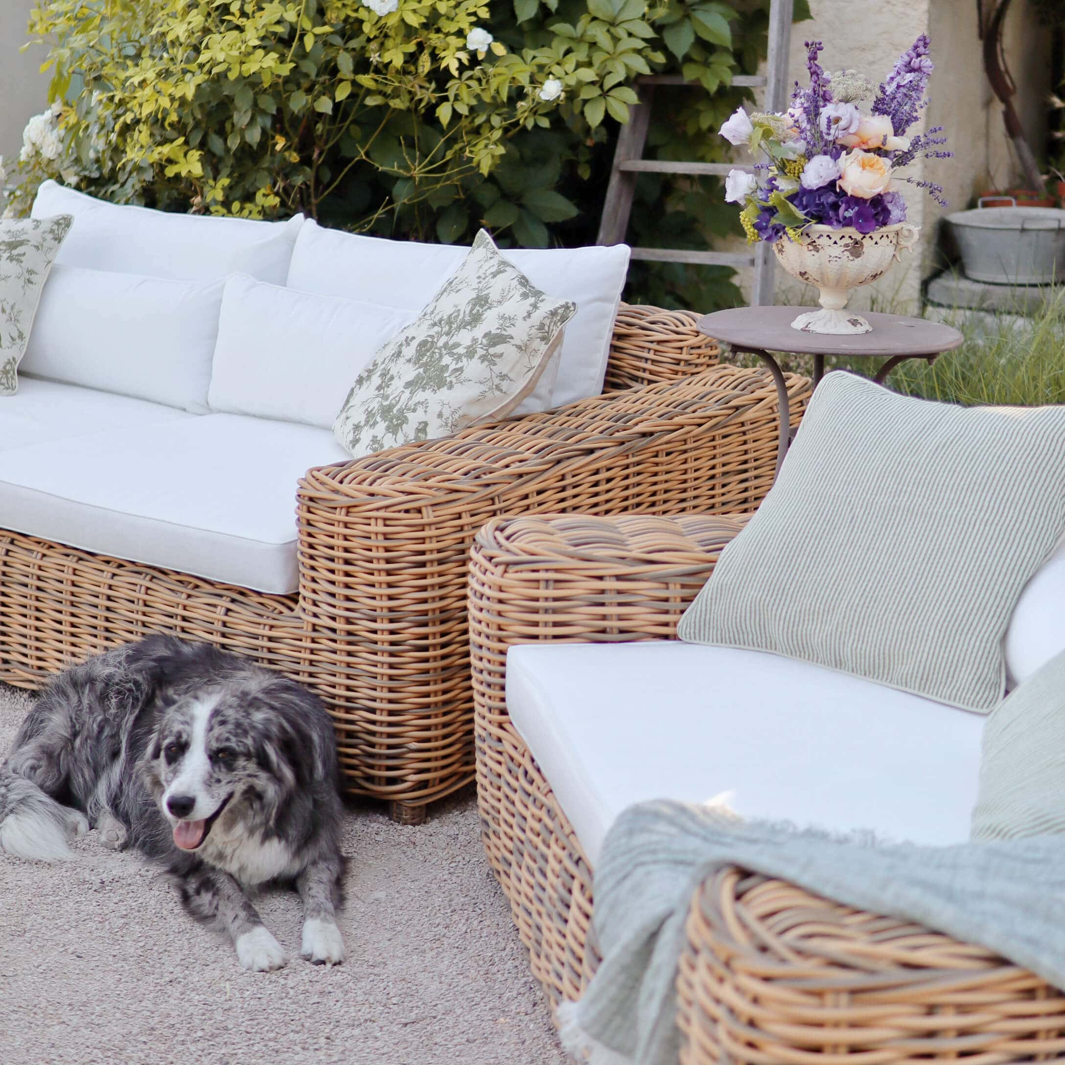 Muebles de jardín de ratán con cojines blancos y flores en la mesa, perro acostado en el suelo