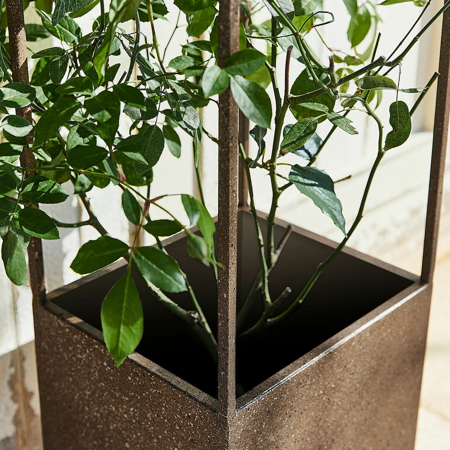 Soporte para plantas trepadoras Elixvo