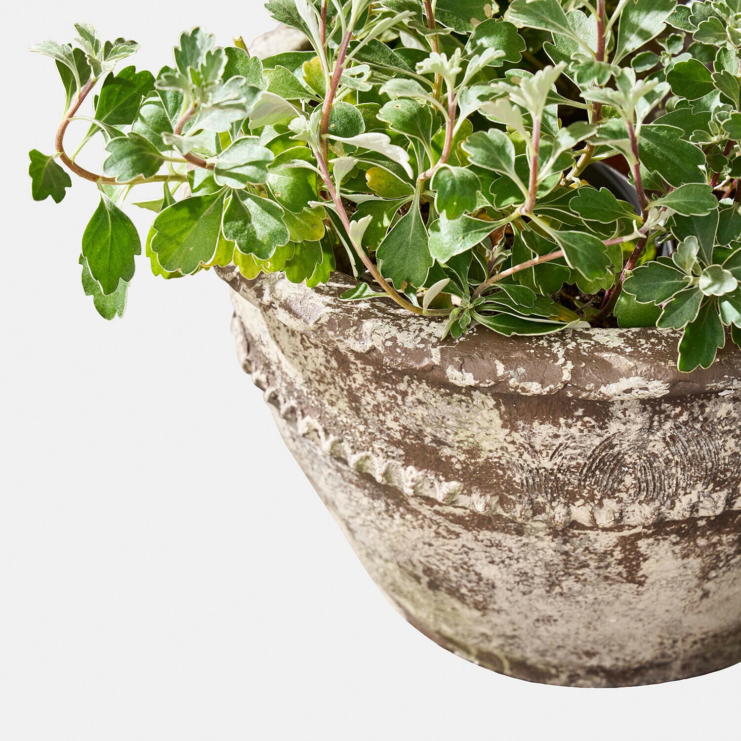 Set de 2 maceteros Montérise