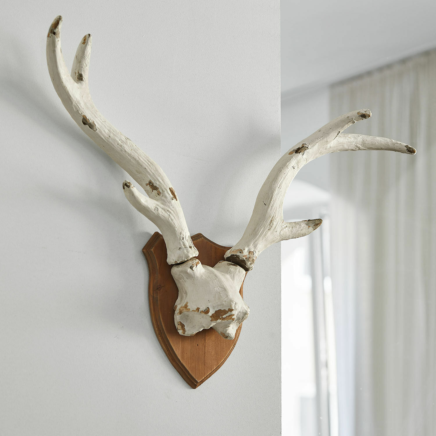 Cornamenta decorativa Talim Cuernos decorativos blancos sobre base de madera para colgar en pared, estilo rústico