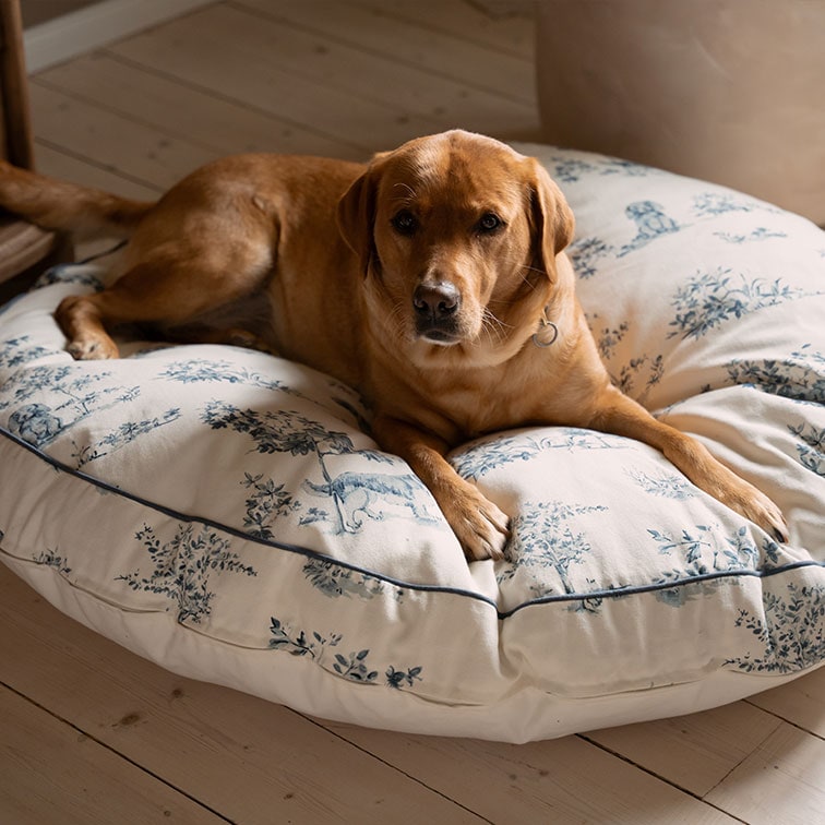 Perro marrón descansando sobre un gran cojín de algodón crema con estampado vegetal azul