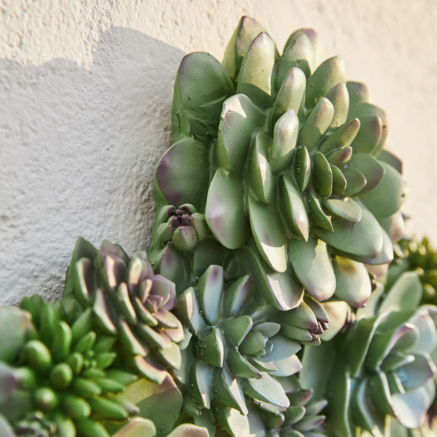 Planta decorativa Fema