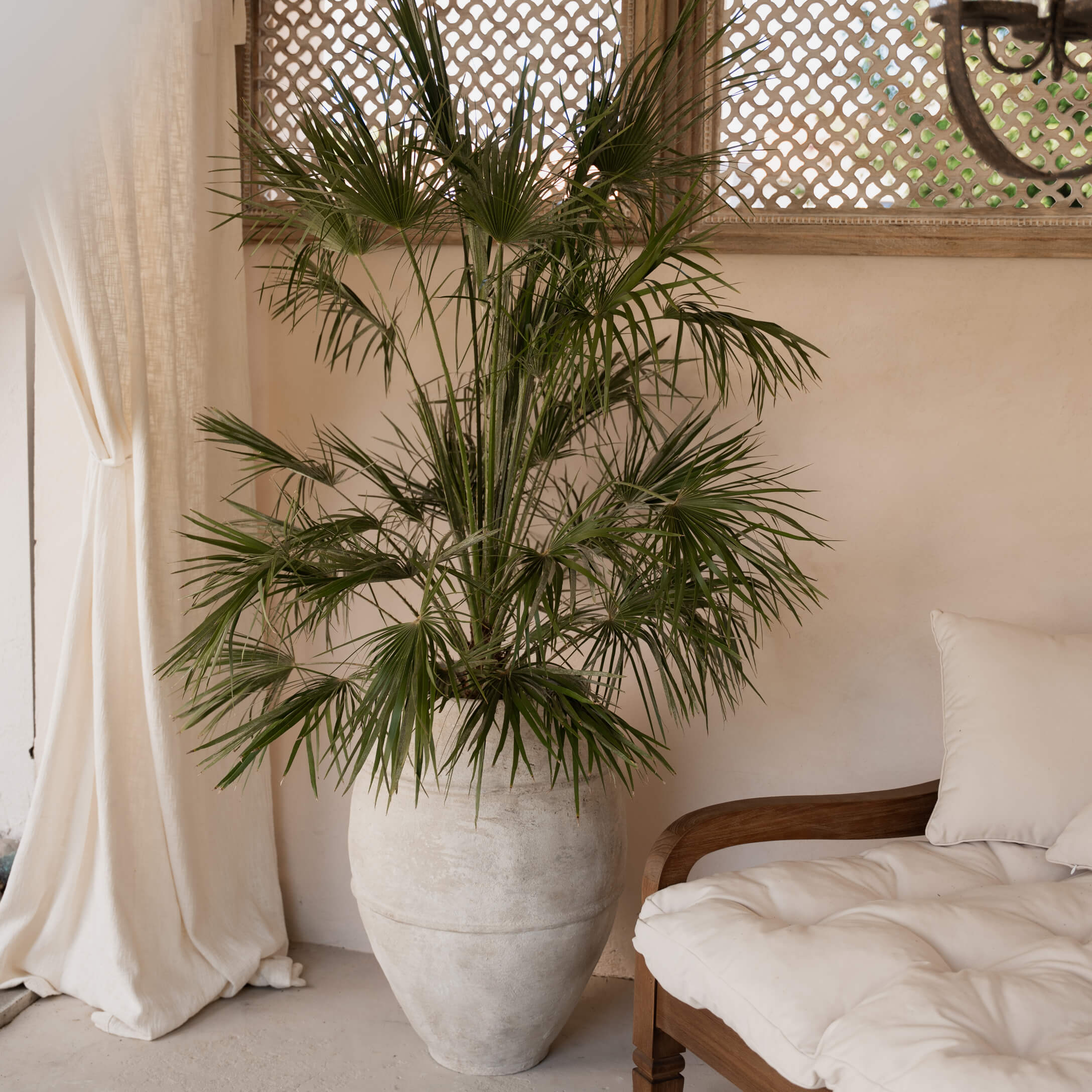 Maceta grande de piedra clara con palmera verde en sala acogedora con sofá de madera