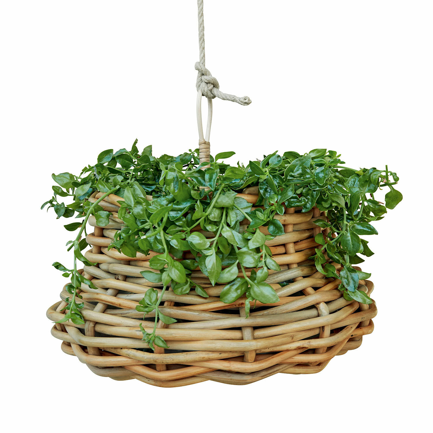 Cesta colgante Villaz Cesta colgante de mimbre natural con hojas verdes, decoración para hogar y jardín