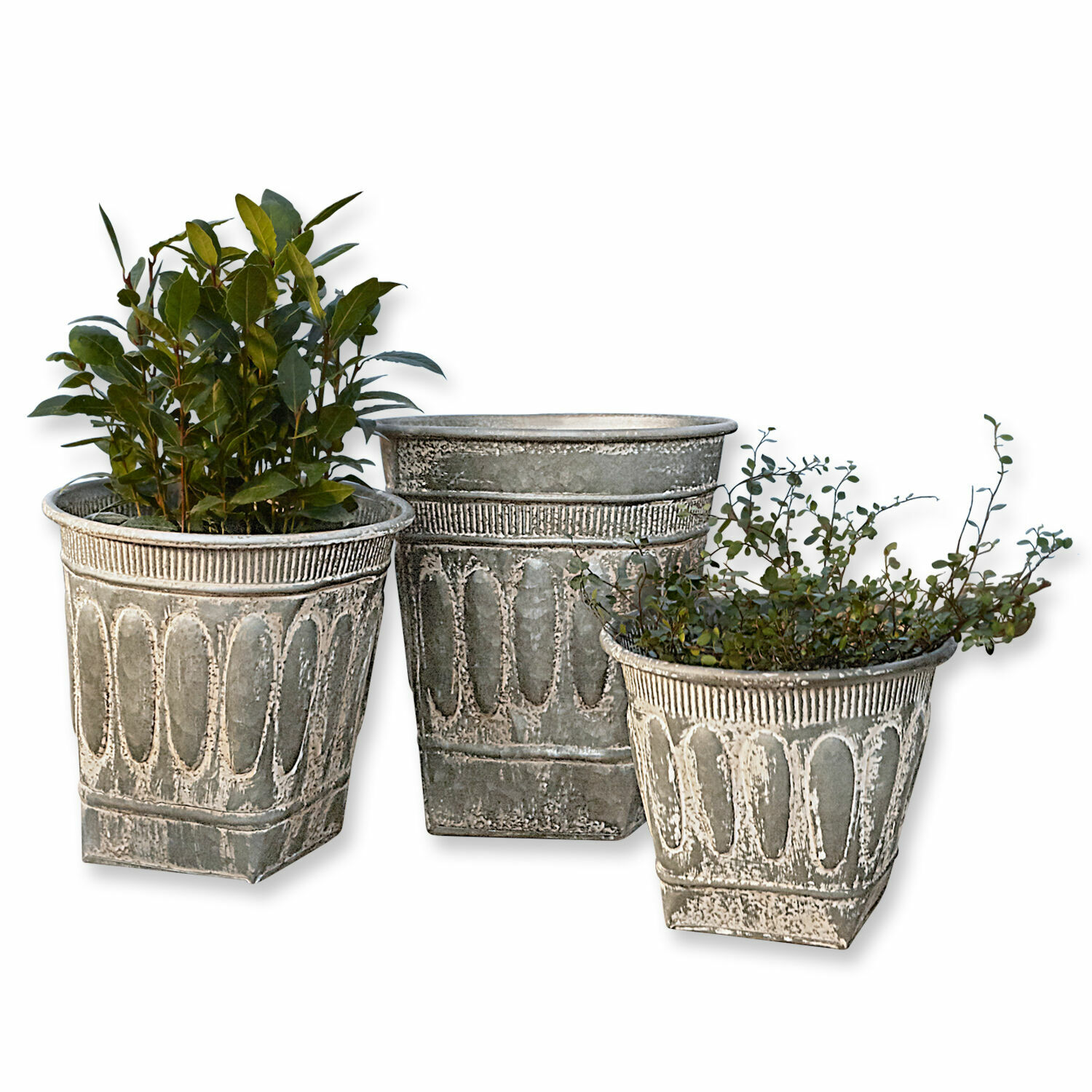 Set de 3 macetas Bakersfield Conjunto de tres macetas decorativas de metal gris con plantas para decoración de jardín