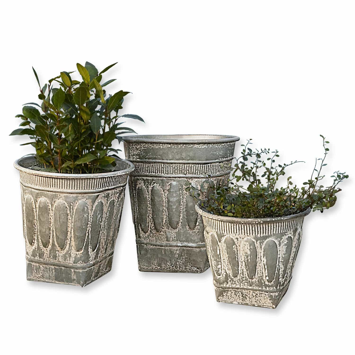 Set de 3 macetas Bakersfield Conjunto de tres macetas decorativas de metal gris con plantas para decoración de jardín