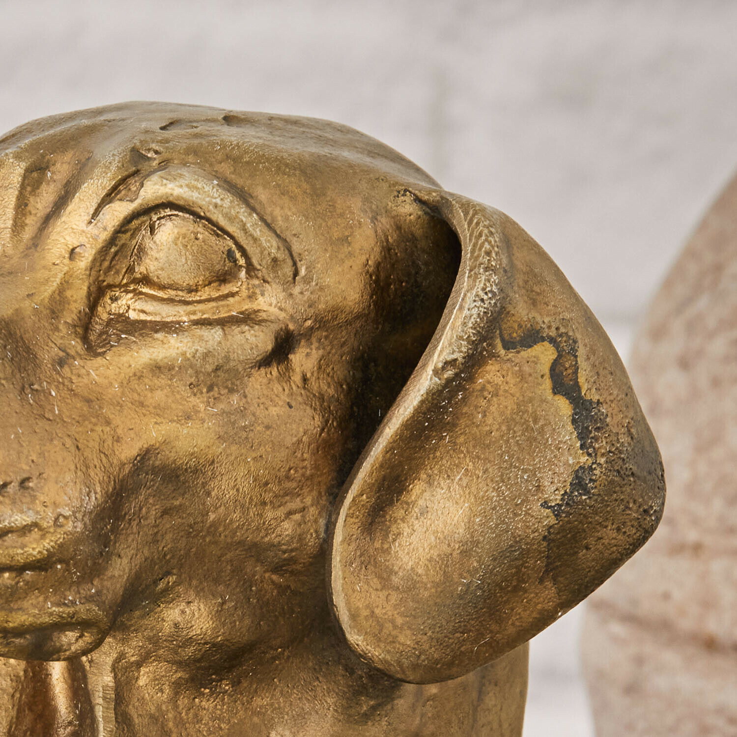Busto Nareen