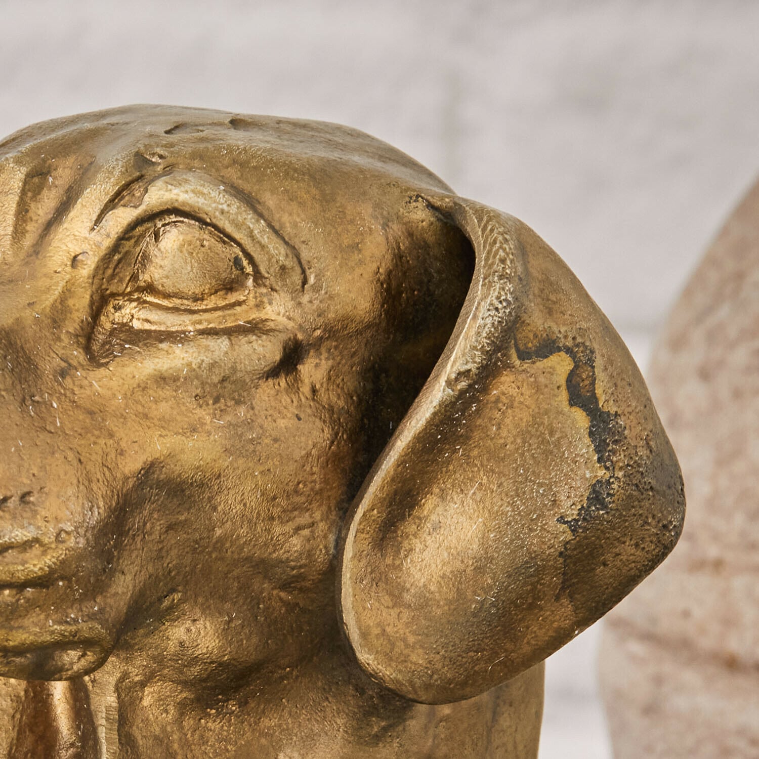 Busto Nareen