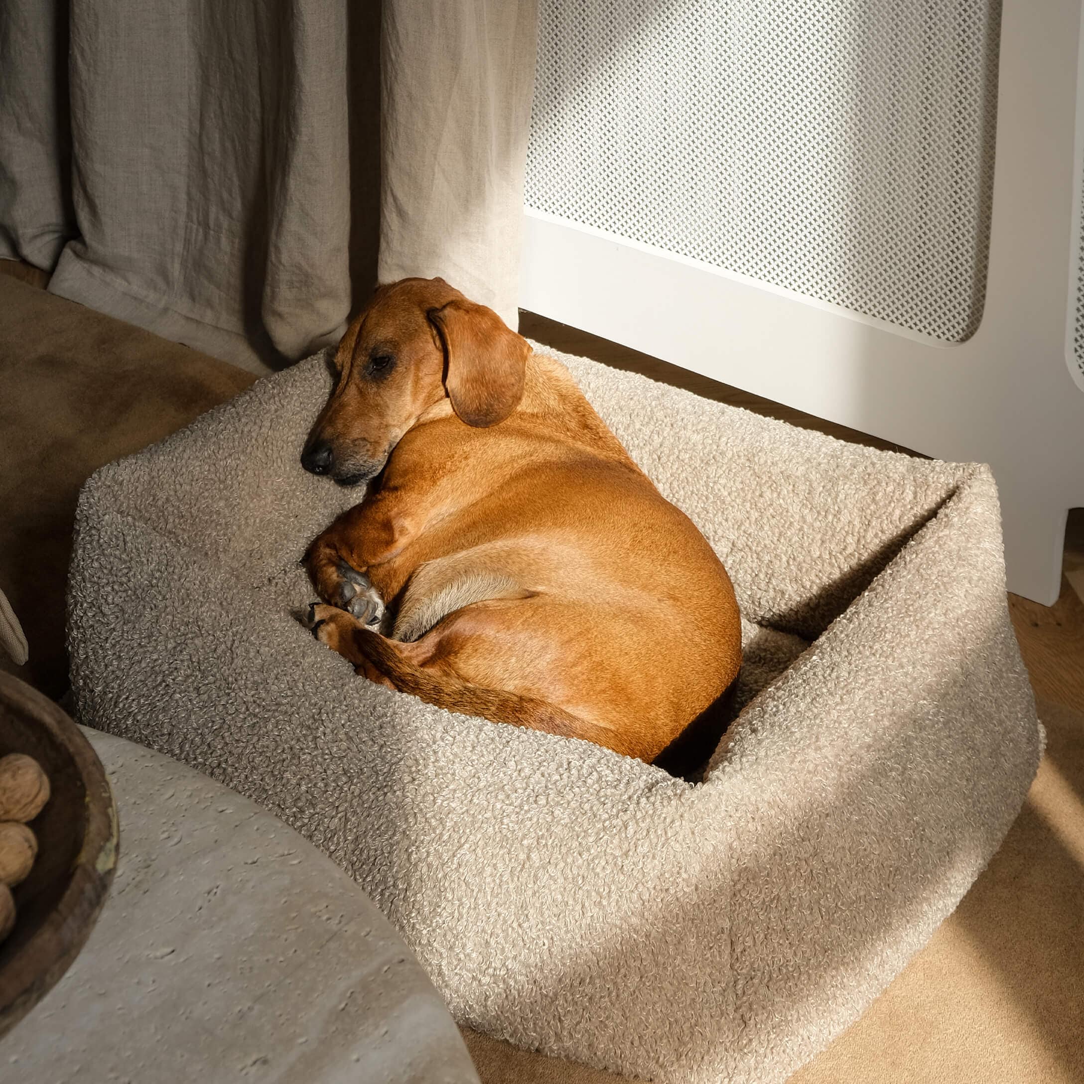 Perro marrón durmiendo en cama beige de felpa suave en un interior acogedor