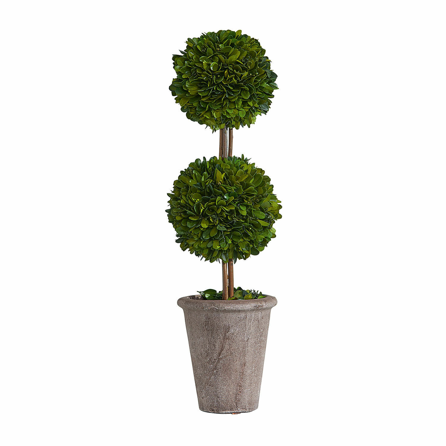 Árbol decorativo Noisse Árbol artificial de boj en maceta de piedra gris para decoración interior y exterior