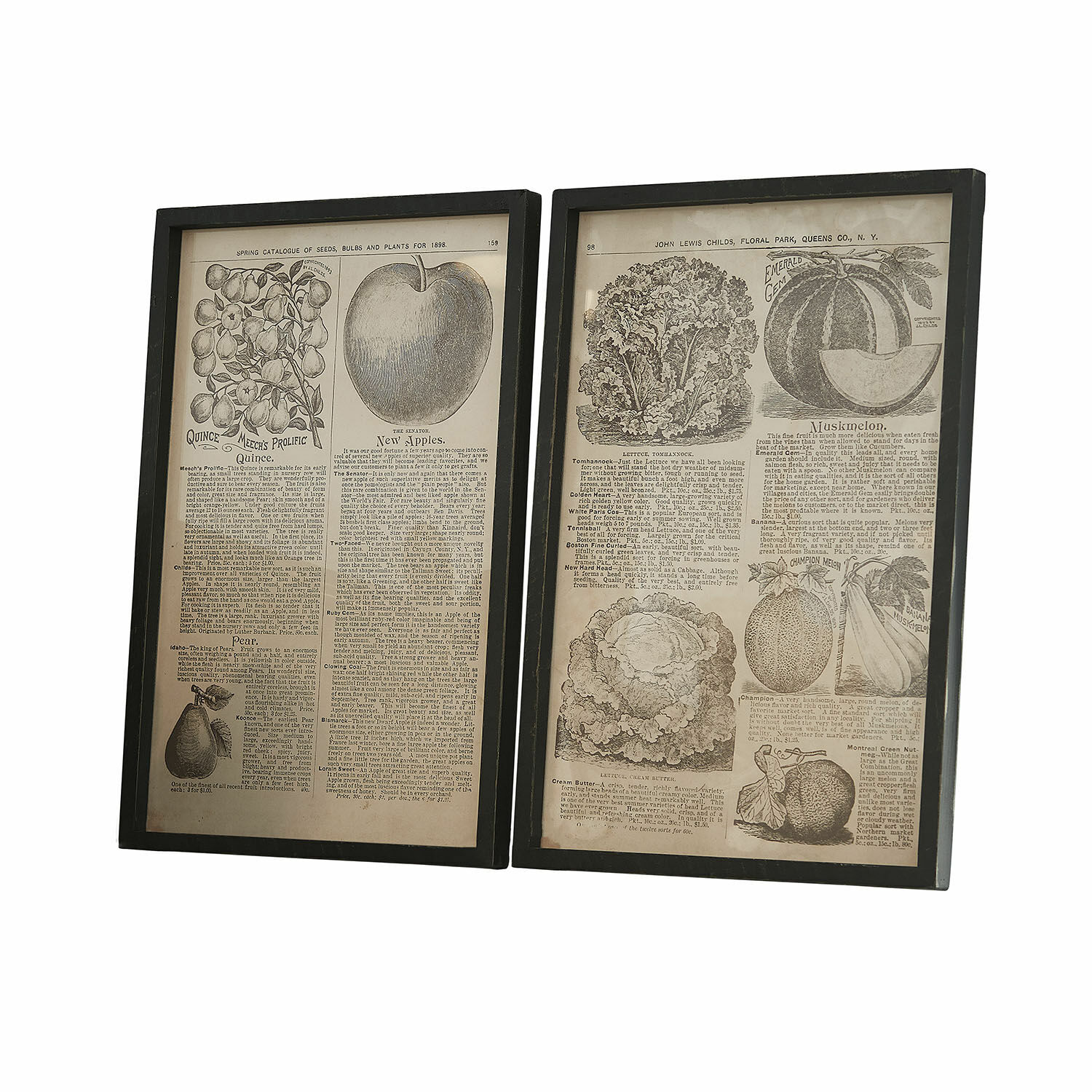 Set de 2 cuadros Bravent