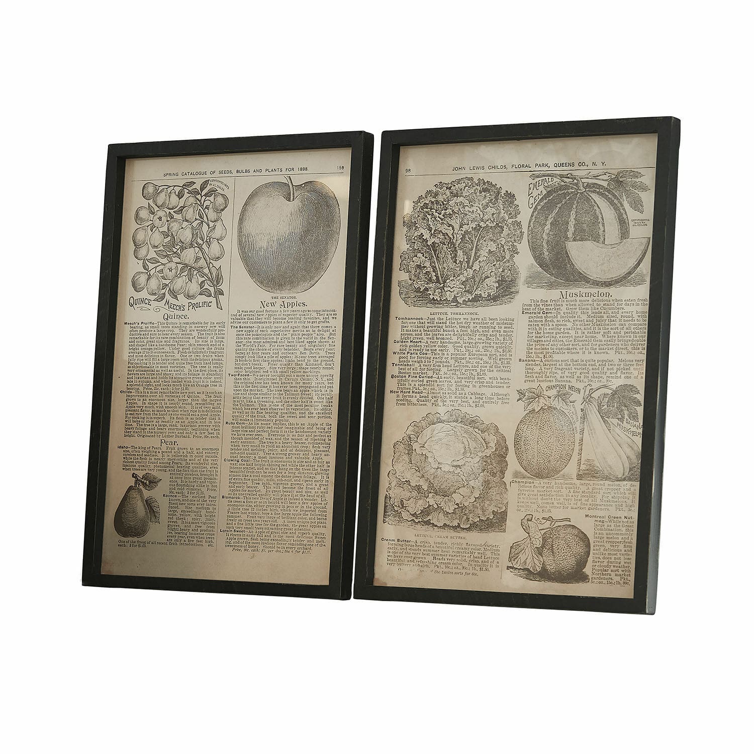 Set de 2 cuadros Bravent