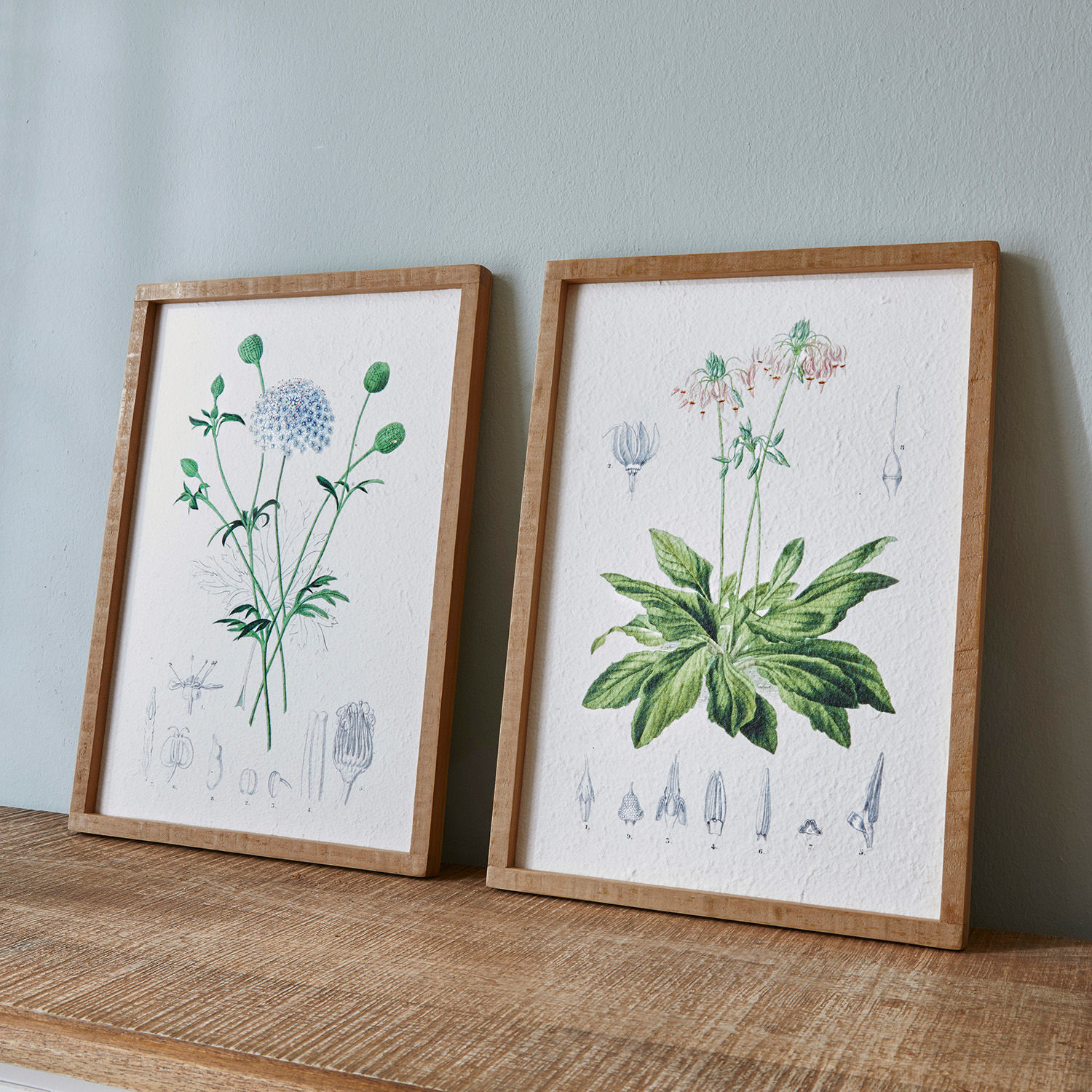 Set de 2 cuadros Botanic