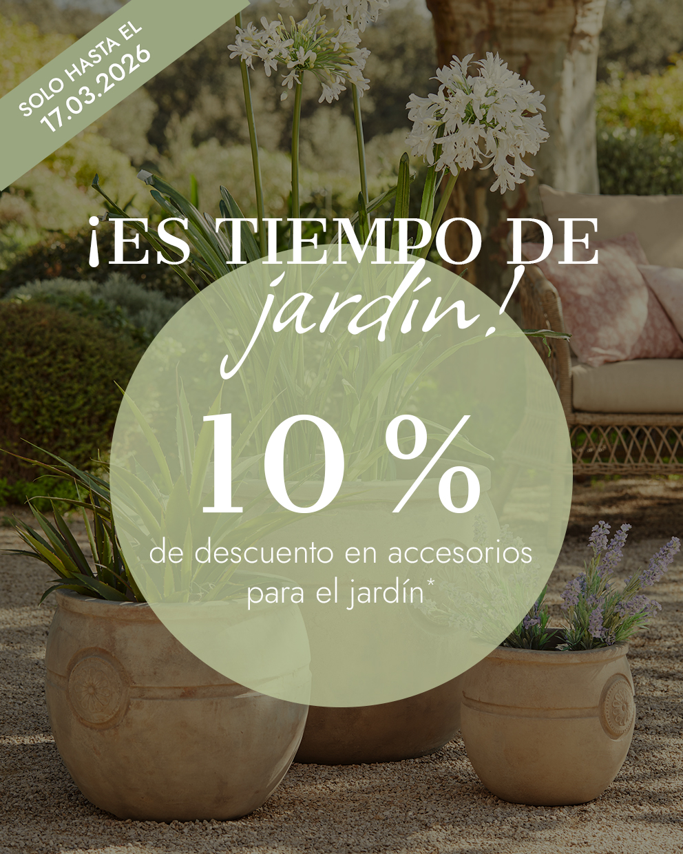 Tres macetas de jardín beige con plantas sobre suelo de grava en entorno natural de jardín