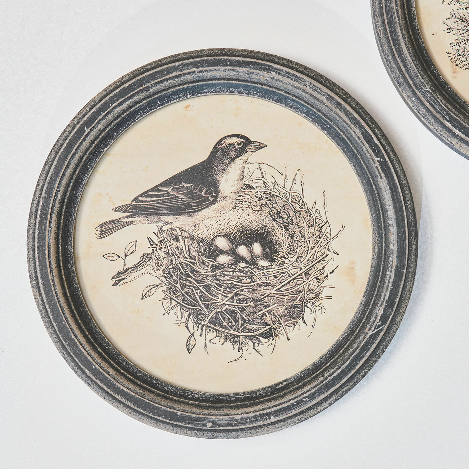 Set de 2 cuadros Finuala