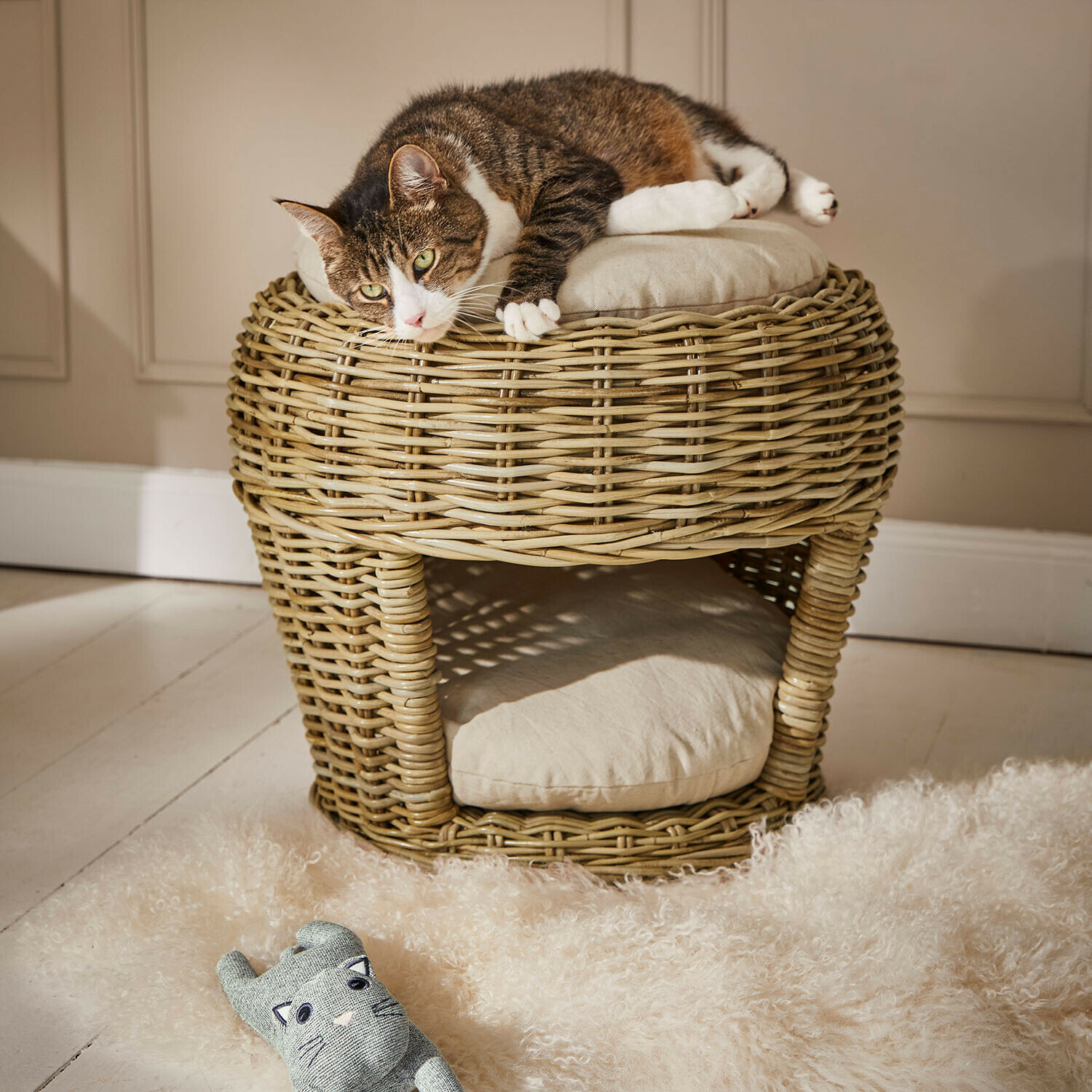 Cesta para mascotas Haverdon Mueble redondo de ratán natural con cojines y gato tumbado encima en ambiente hogareño