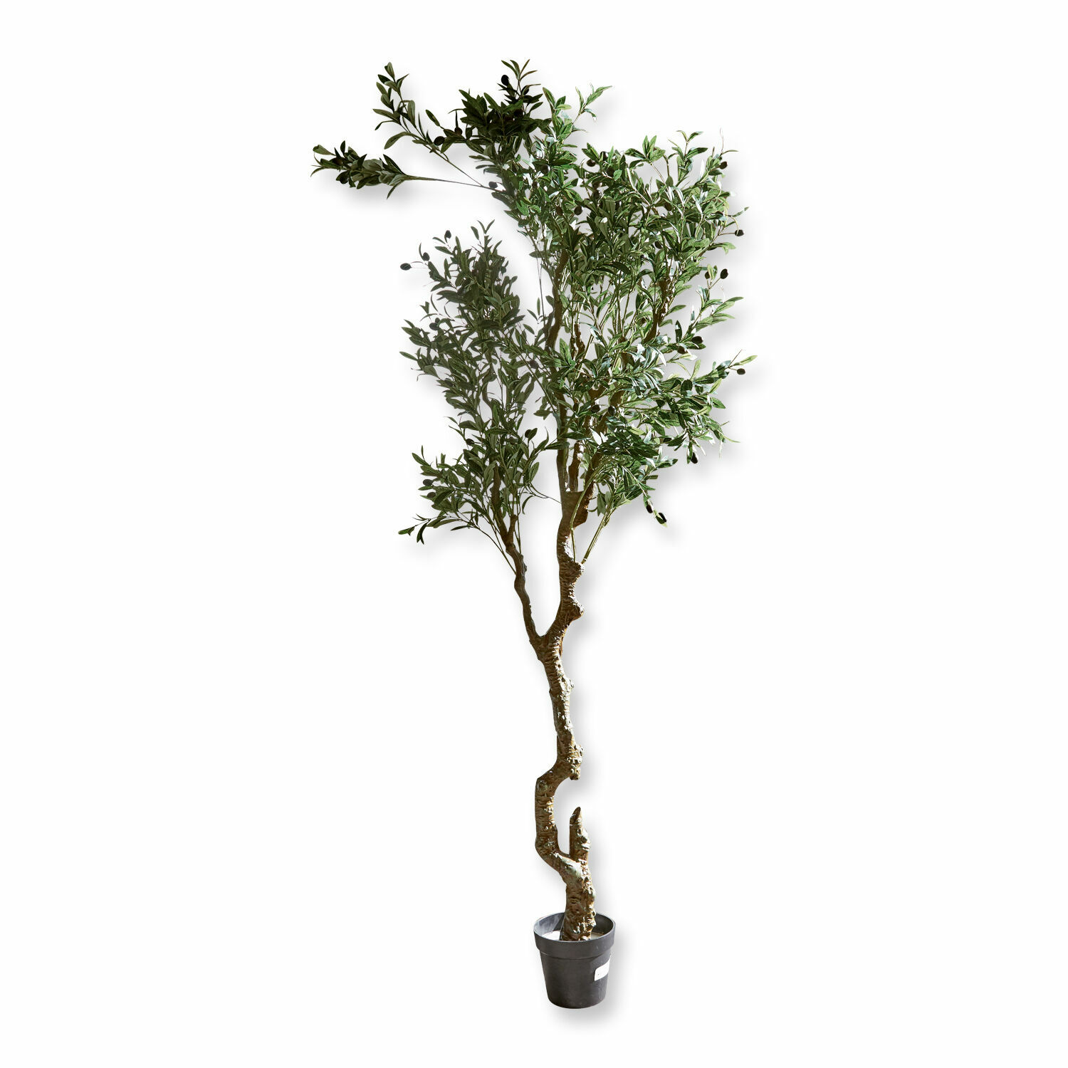Planta decorativa Dambly Árbol de olivo artificial en maceta negra con hojas verdes para decoración interior