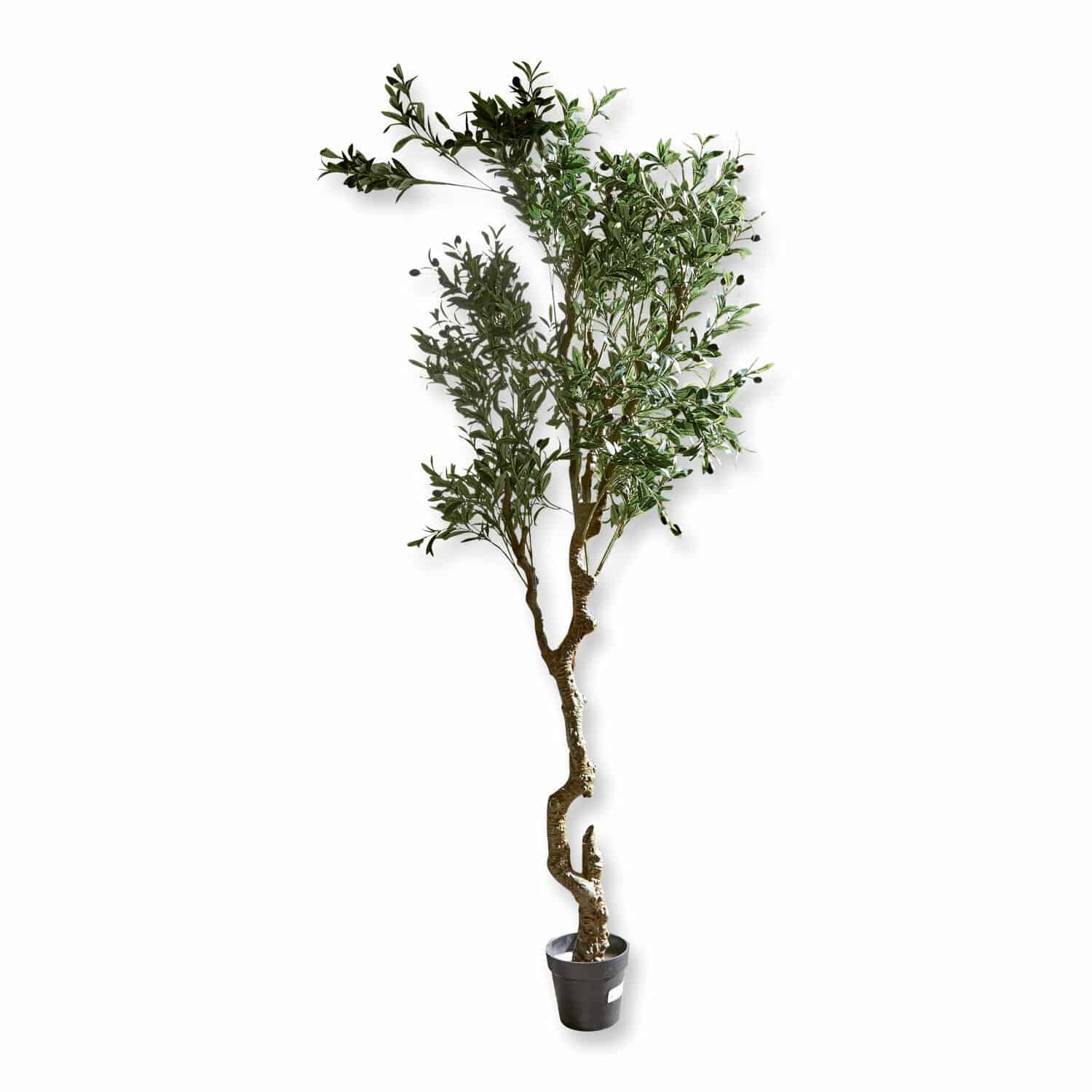 Planta decorativa Dambly Árbol de olivo artificial en maceta negra con hojas verdes para decoración interior