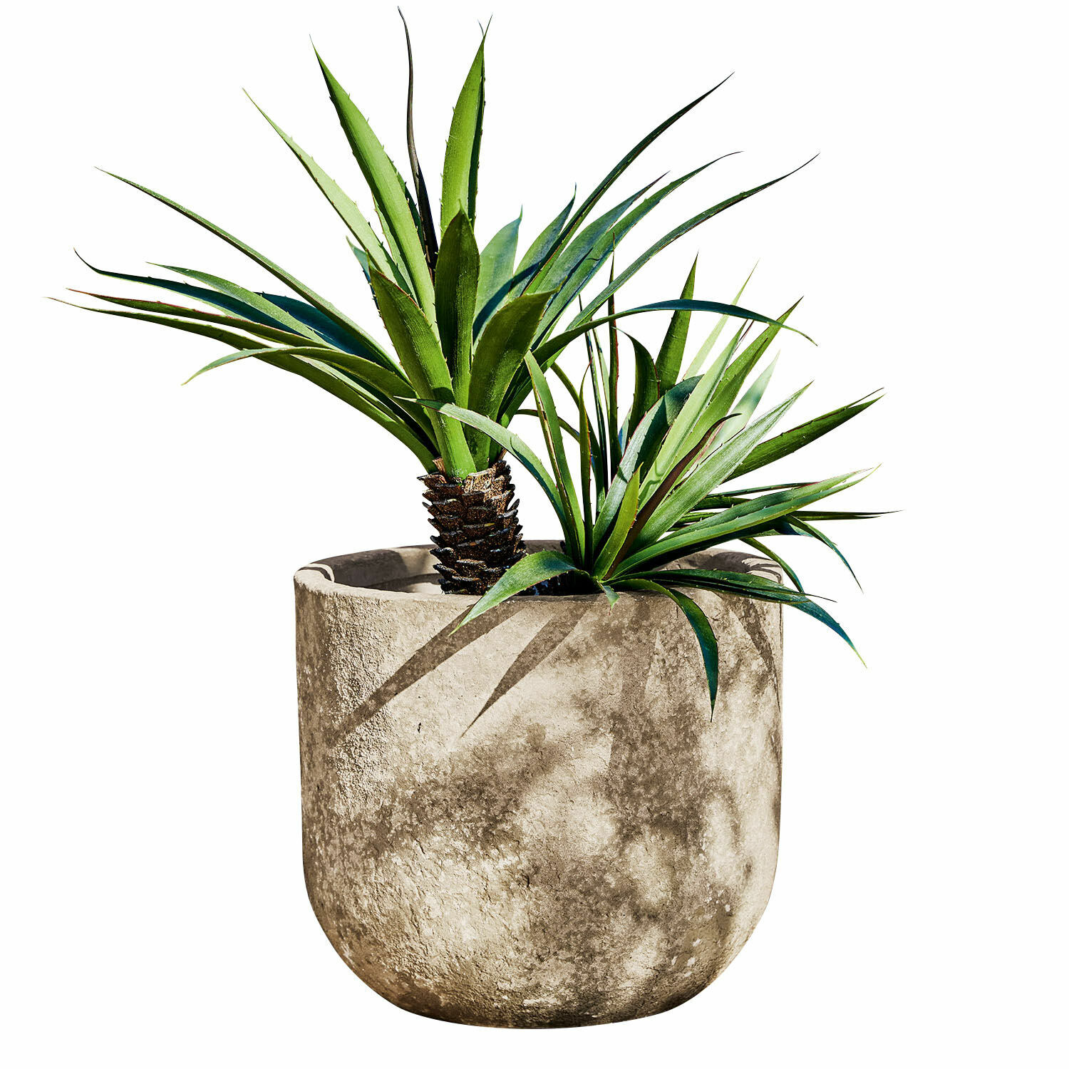 Jardinera Ela