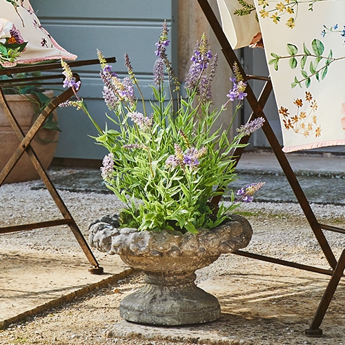 Maceta decorativa de piedra con lavanda, estilo rústico, decoración natural para terraza