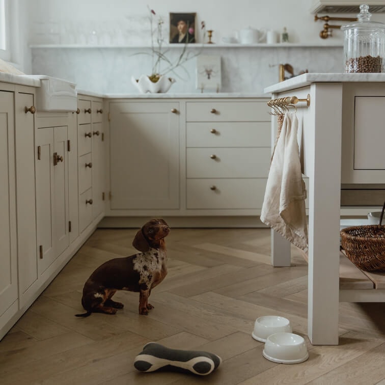 Cocina vintage con armarios blancos y suelo de madera, pequeño perro salchicha en el centro