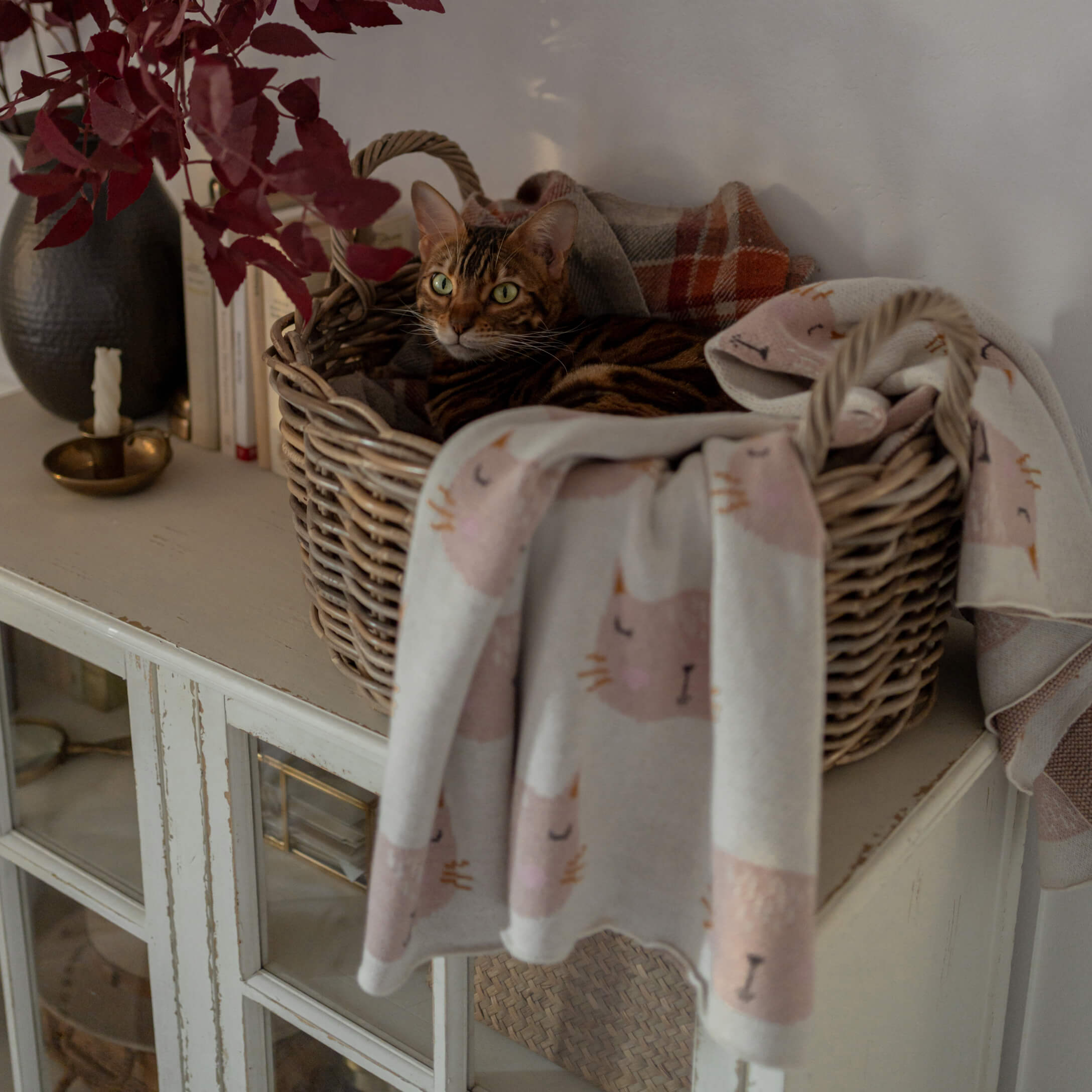 Gato marrón en cesta de mimbre con manta suave con diseño de gatos, ambiente acogedor en casa