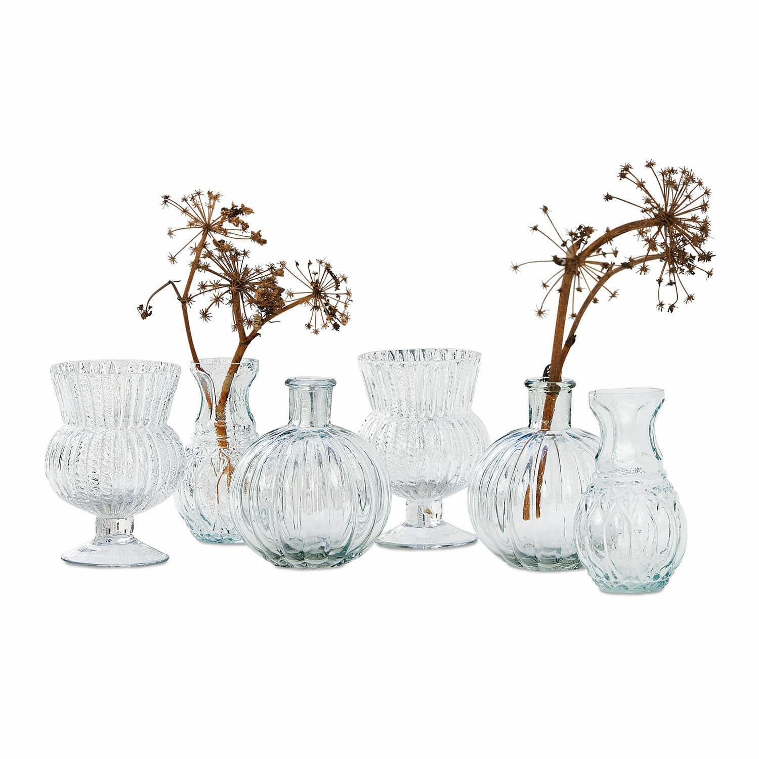 Set de 6 jarrones Amber Conjunto de seis jarrones de vidrio transparente con flores secas, decoración para mesa