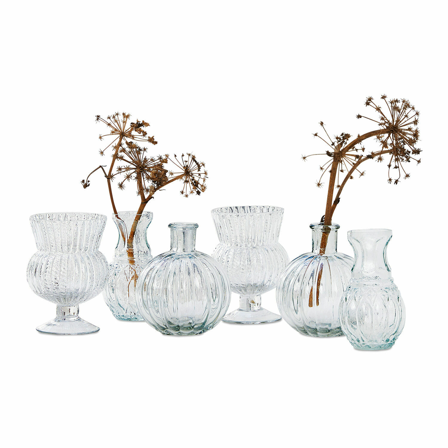 Set de 6 jarrones Amber Conjunto de seis jarrones de vidrio transparente con flores secas, decoración para mesa