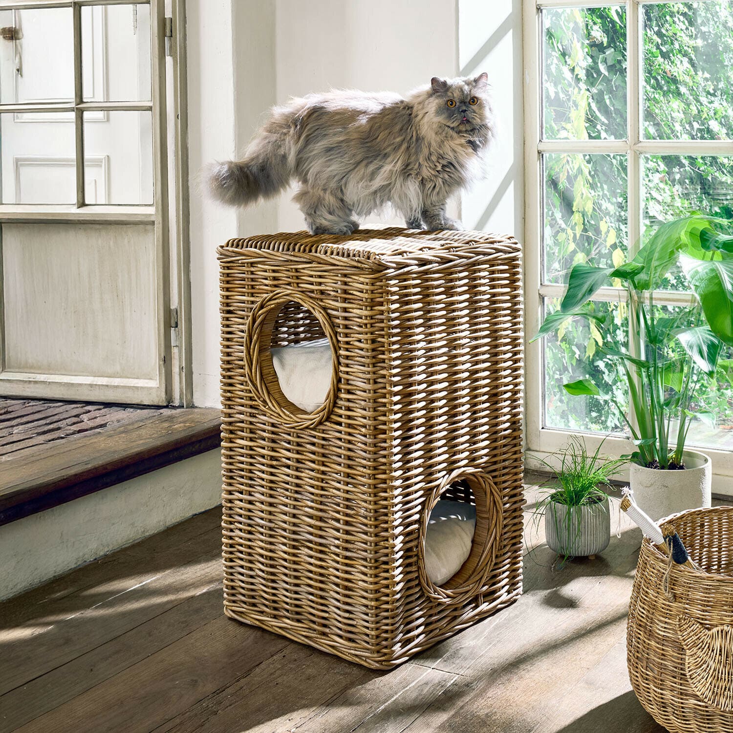 Cesta para gatos Miezzi