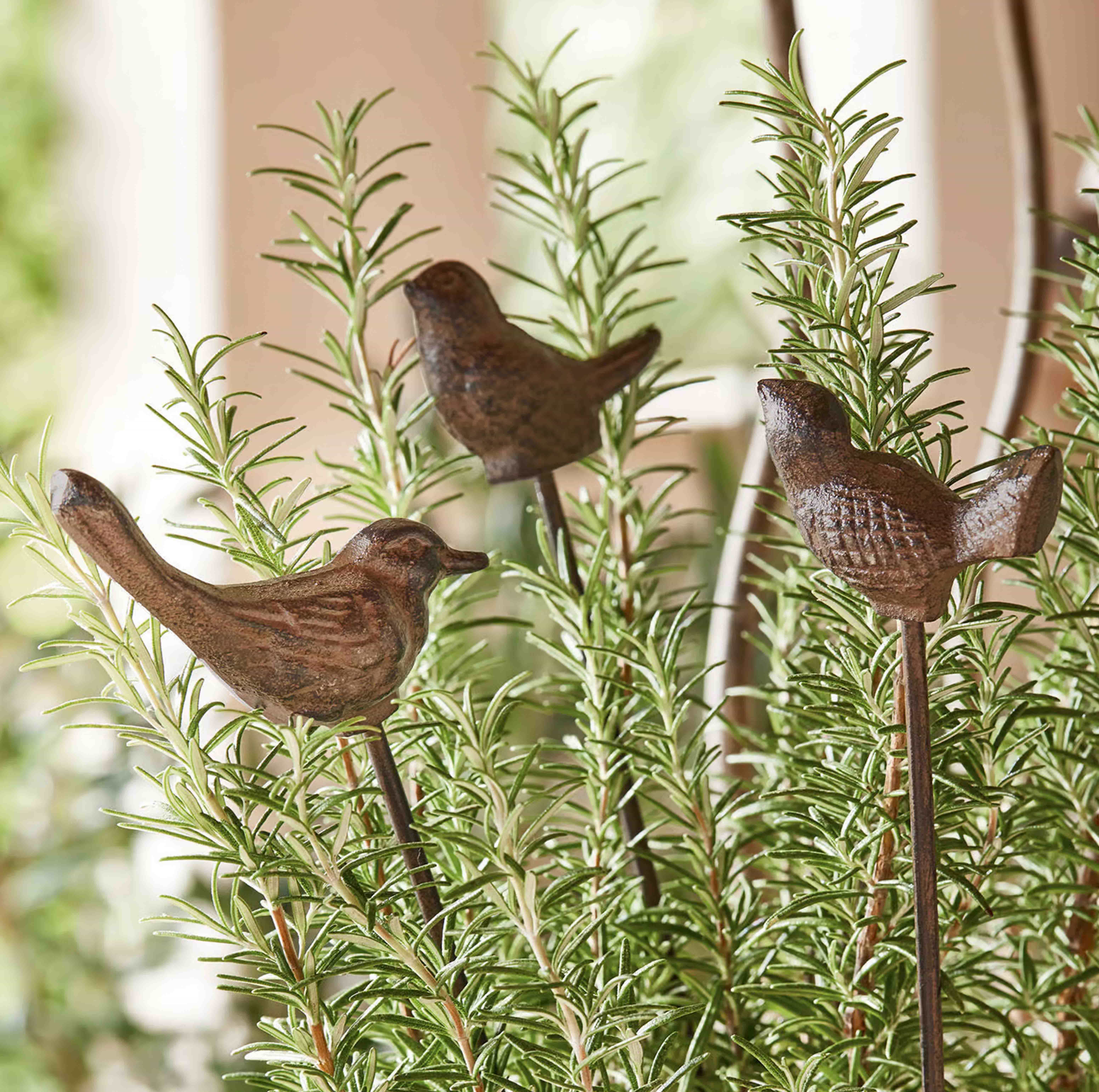 Pájaros decorativos de metal en varillas entre ramas verdes de romero para jardín y hogar