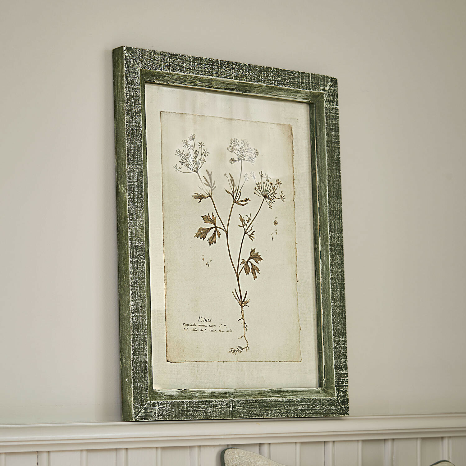 Cuadro Kenwick Cuadro botánico con marco de madera verde y dibujo de planta sobre fondo beige para decoración de paredes