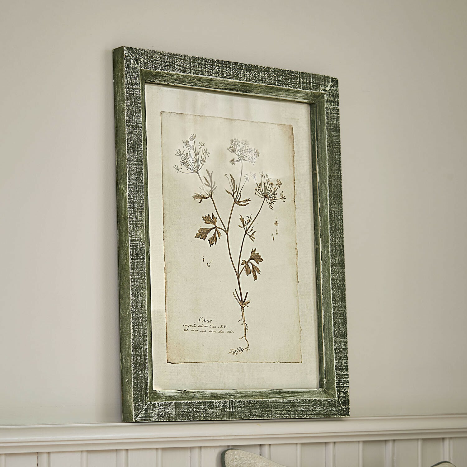Cuadro Kenwick Cuadro botánico con marco de madera verde y dibujo de planta sobre fondo beige para decoración de paredes