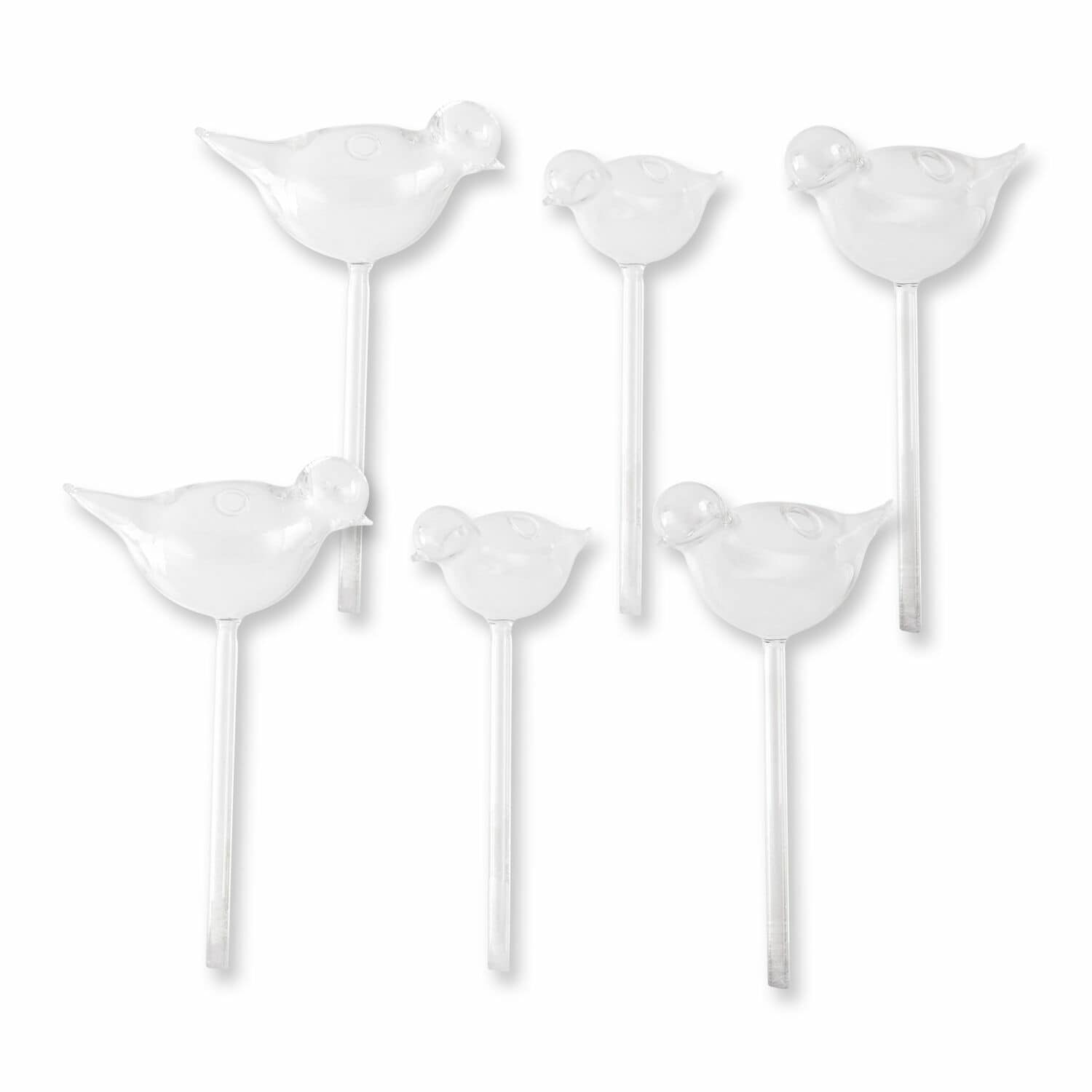 Set de 6 pájaros dispensadores de agua Mouillé