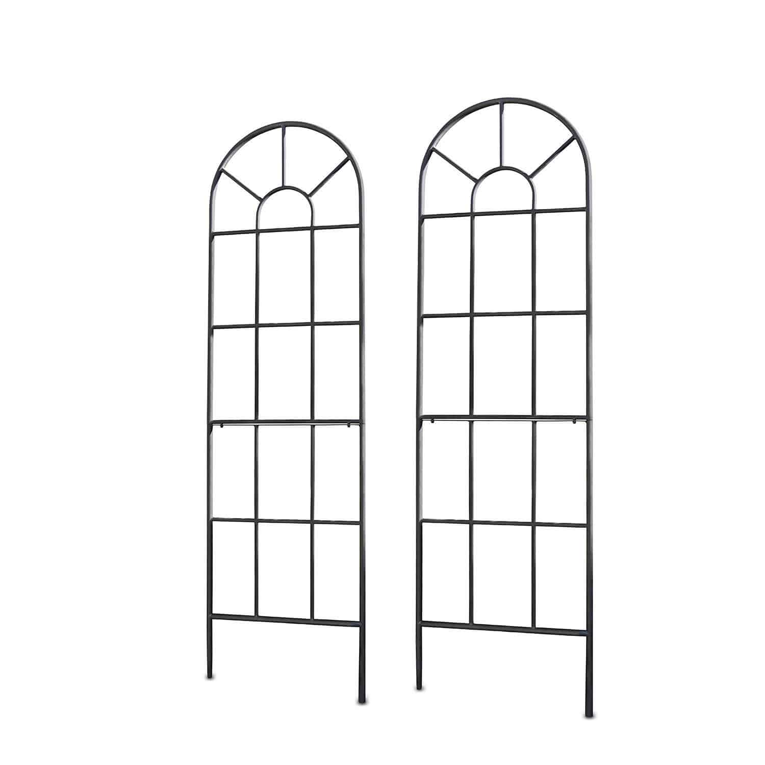 Set de 2 enrejados Ealdred Dos enrejados de metal negro con diseño arqueado para soporte de plantas trepadoras en jardín