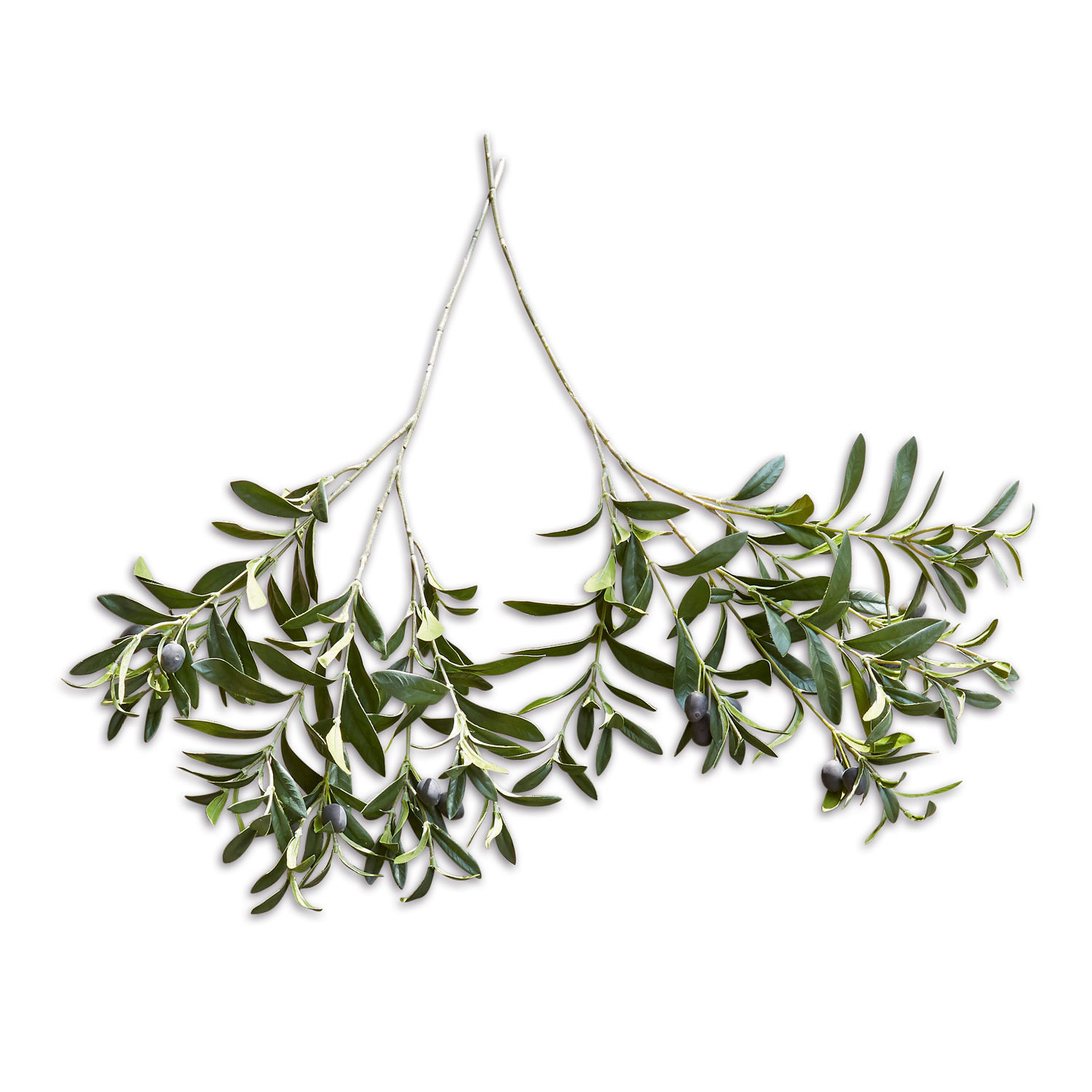 Set de 2 ramas de olivo decorativas Olives Ramas de olivo con hojas verdes y aceitunas negras sobre fondo blanco, decoración natural