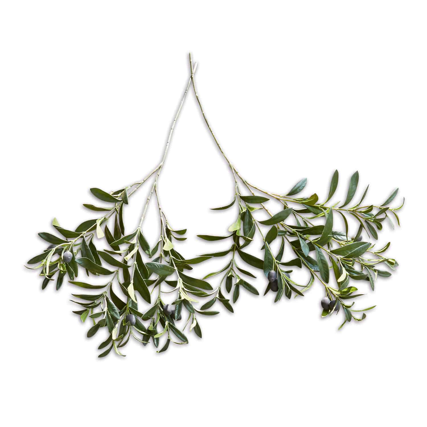 Set de 2 ramas de olivo decorativas Olives Ramas de olivo con hojas verdes y aceitunas negras sobre fondo blanco, decoración natural