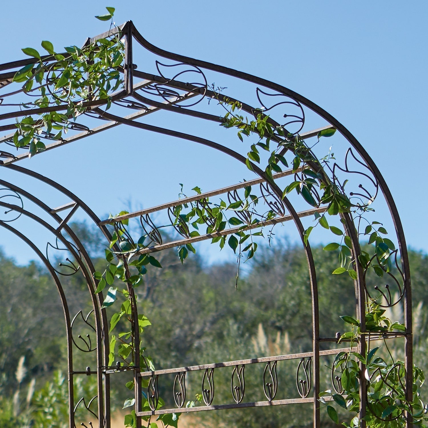 Arco de jardín Romaine