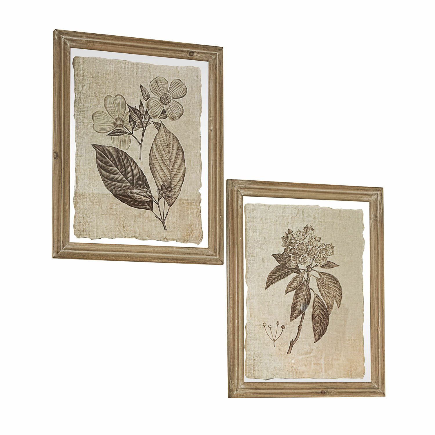 Set de 2 cuadros Guyra