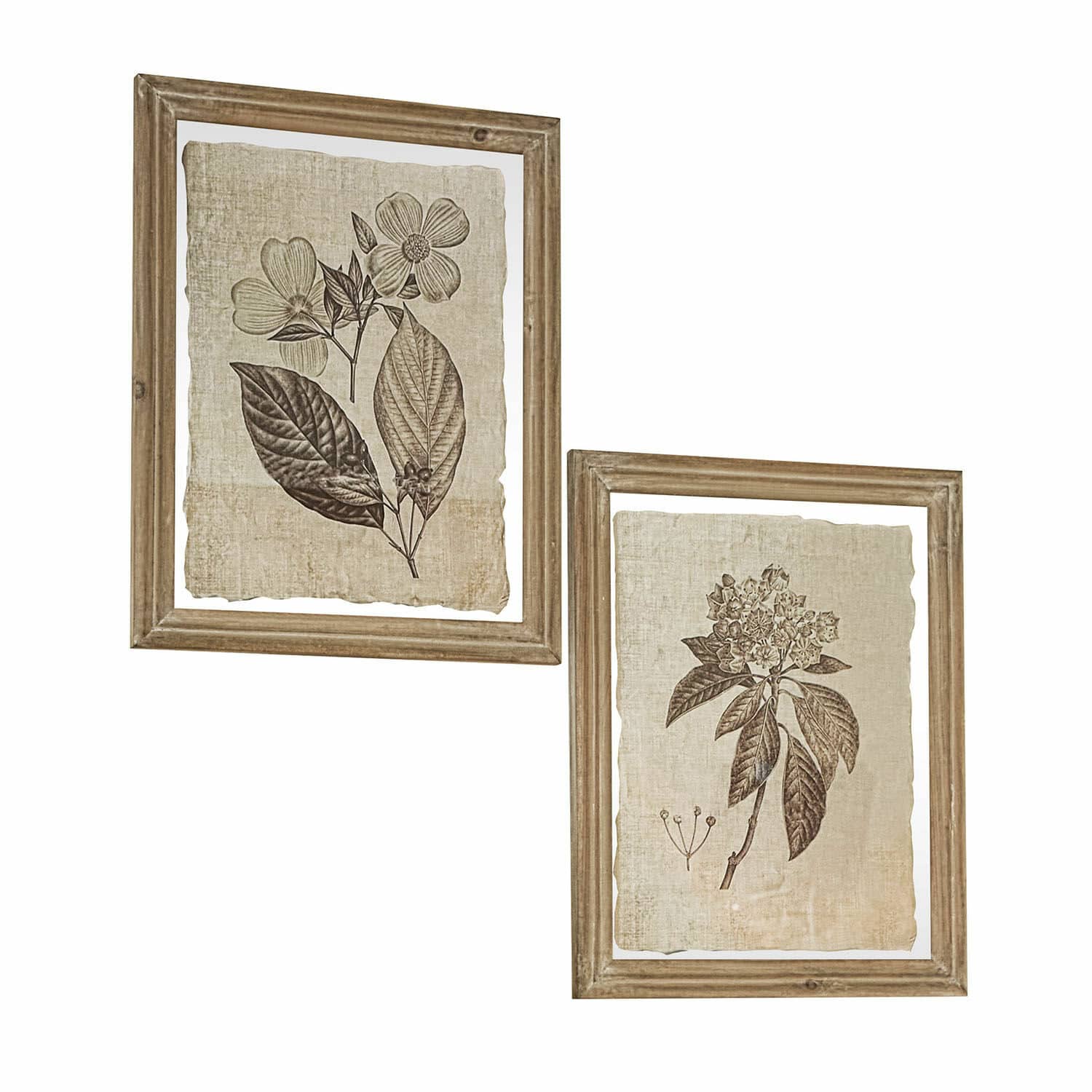 Set de 2 cuadros Guyra Conjunto de dos ilustraciones botánicas con hojas marrones sobre fondo beige en marcos de madera