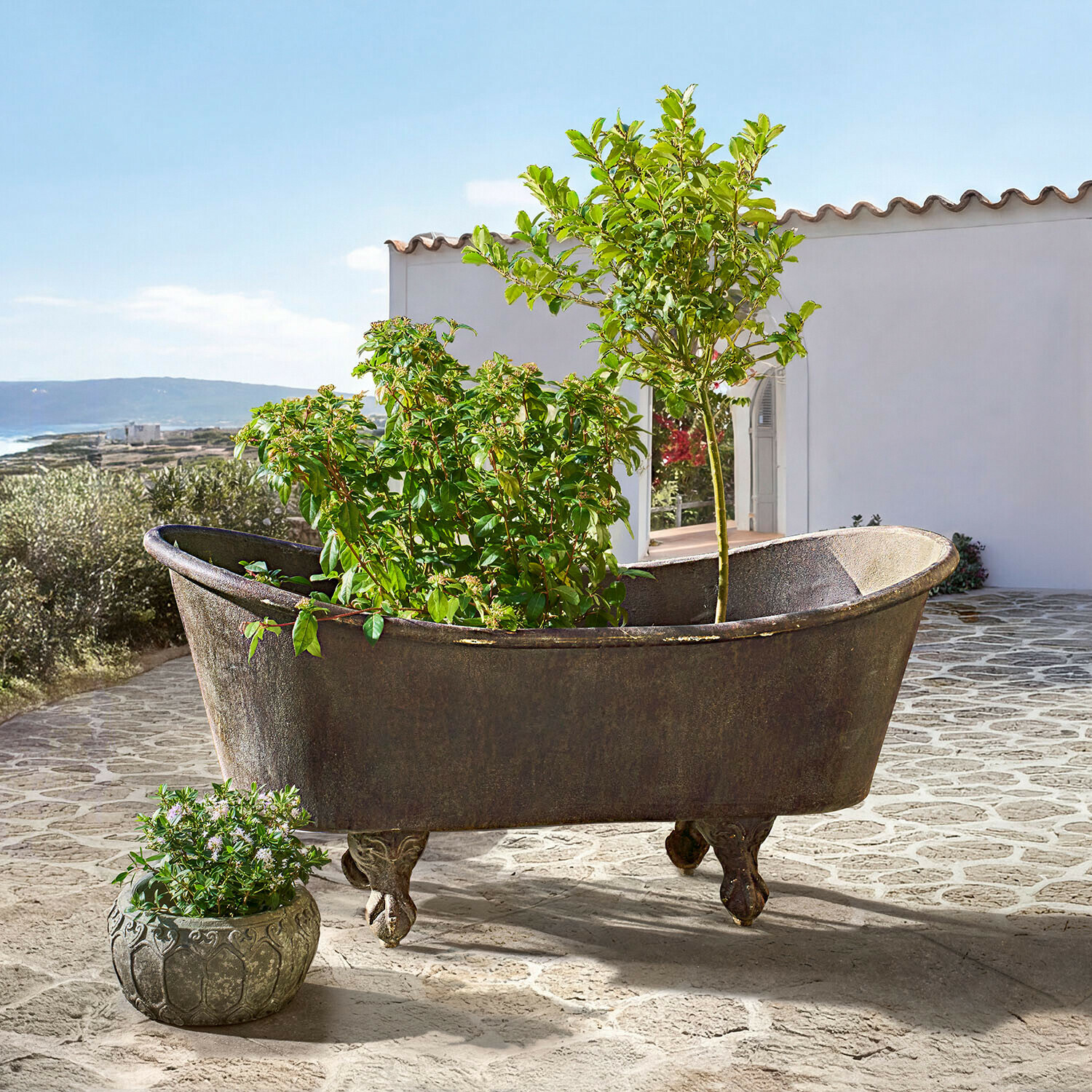 Antigua bañera de hierro fundido con patas decorativas usada como macetero con plantas verdes en terraza