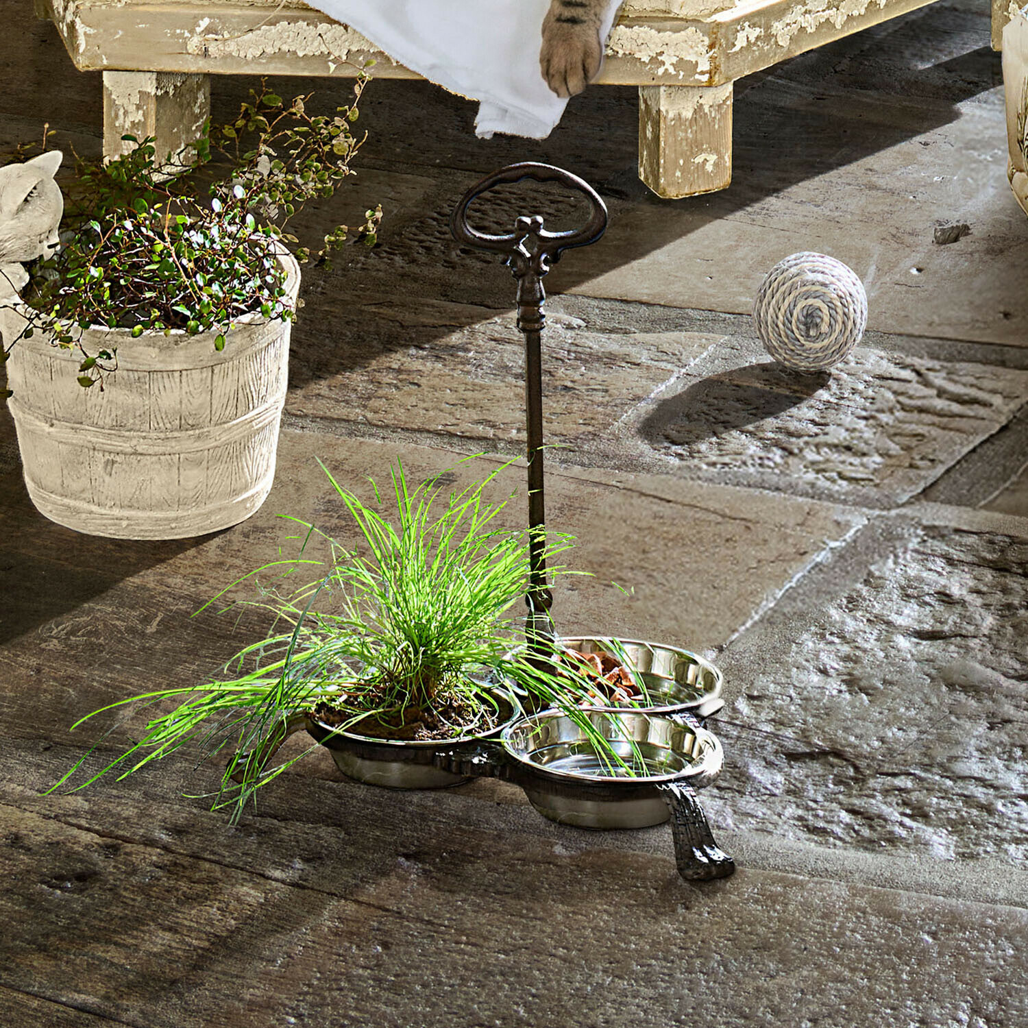 Comedero doble de metal plateado con asa sobre suelo de piedra, planta verde al lado